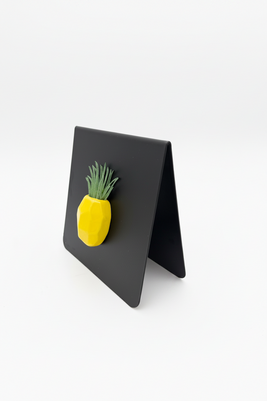 Pineapple Magnet