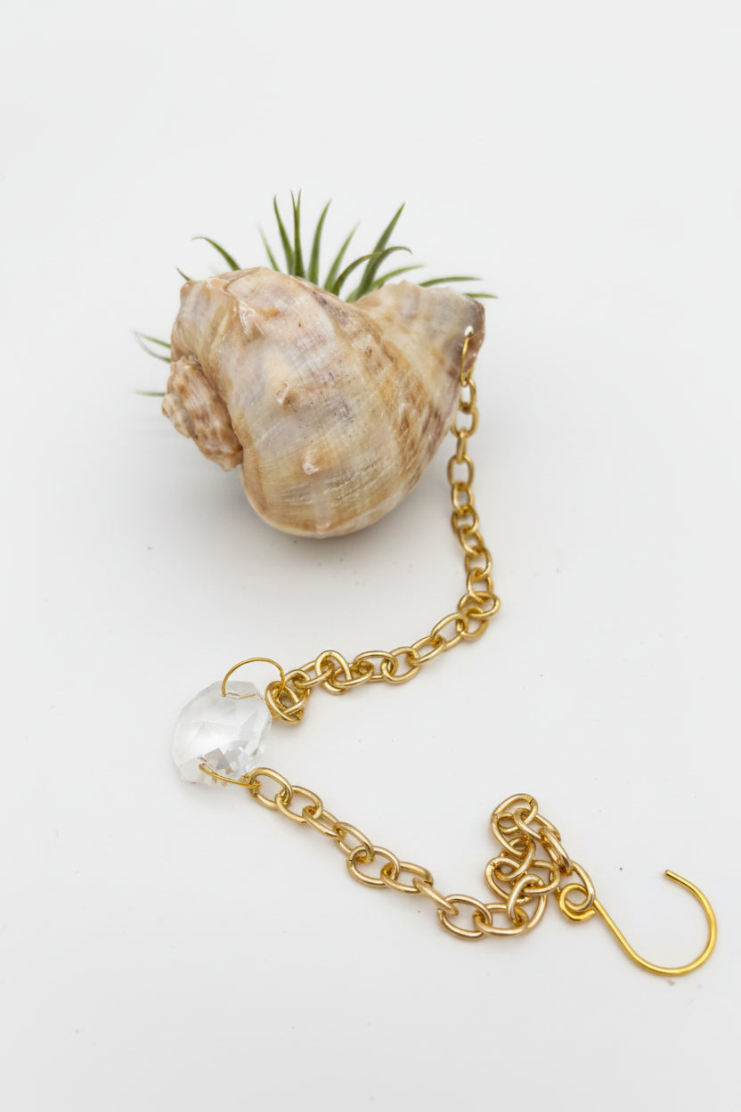 Suncatcher: Shell + Crystal ~ 12"-14"