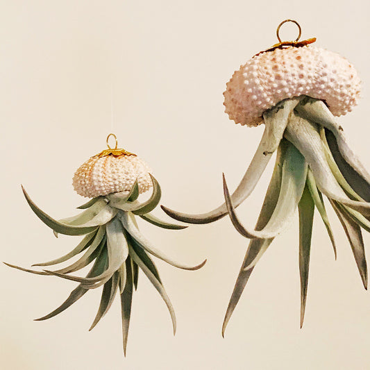 Jellyfish Ornament