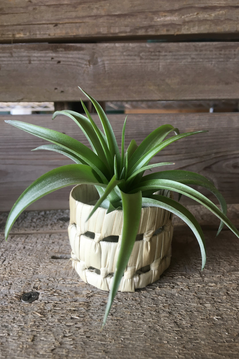 Woven Basket Holder