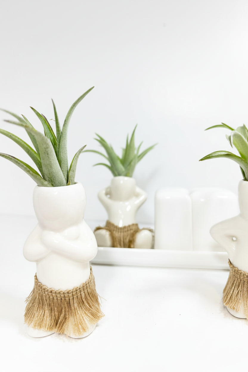 Salt + Pepper Shaker Set - Aloha Nui