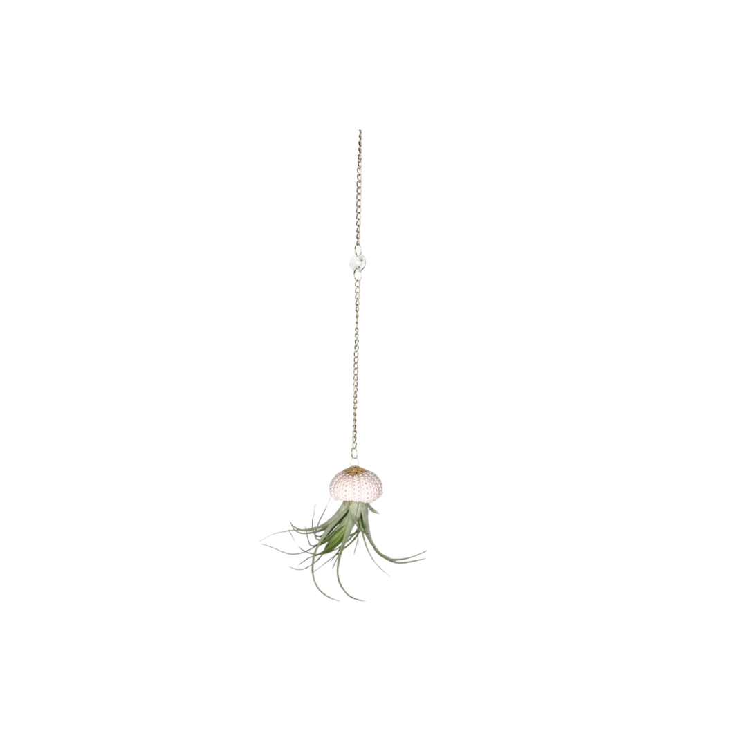 Suncatcher: Shell + Crystal ~ 18"-20"