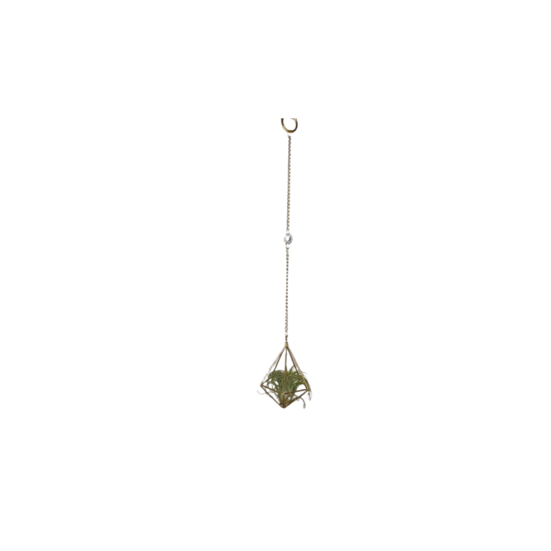 Suncatcher: Shell + Crystal ~ 18"-20"