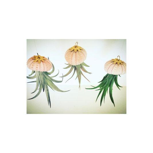 Jellyfish Ornament