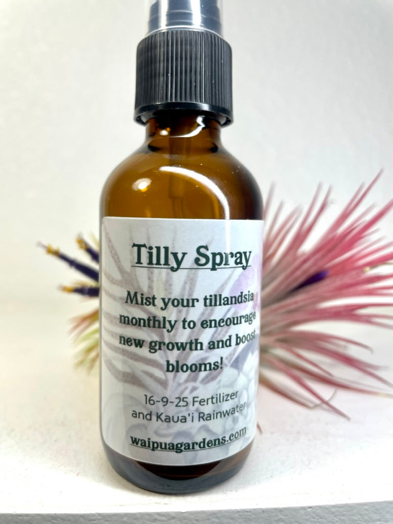 Fertilizer - Tilly Spray