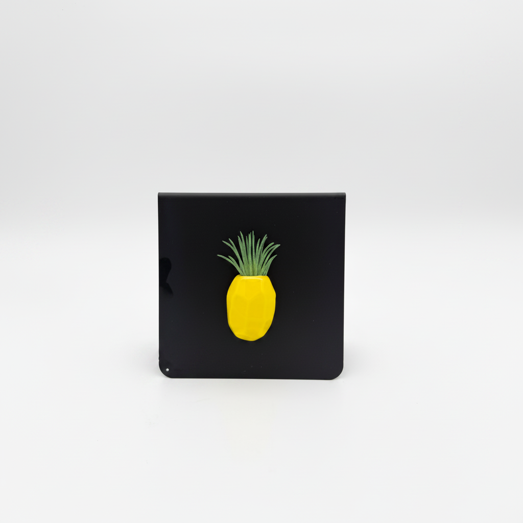 Pineapple Magnet
