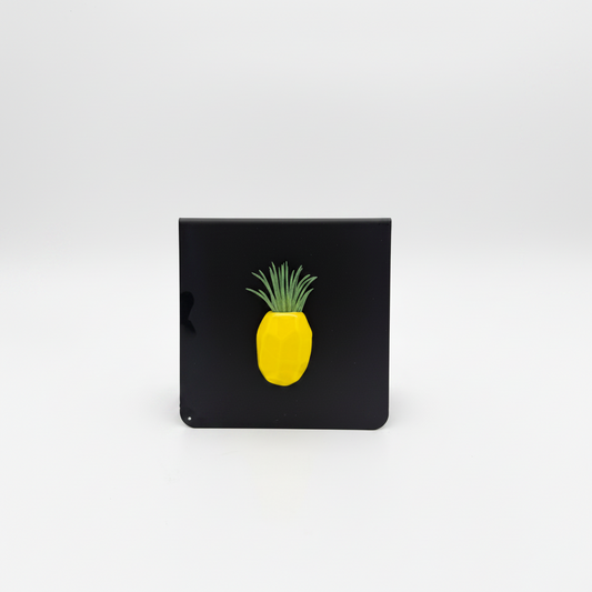Pineapple Magnet