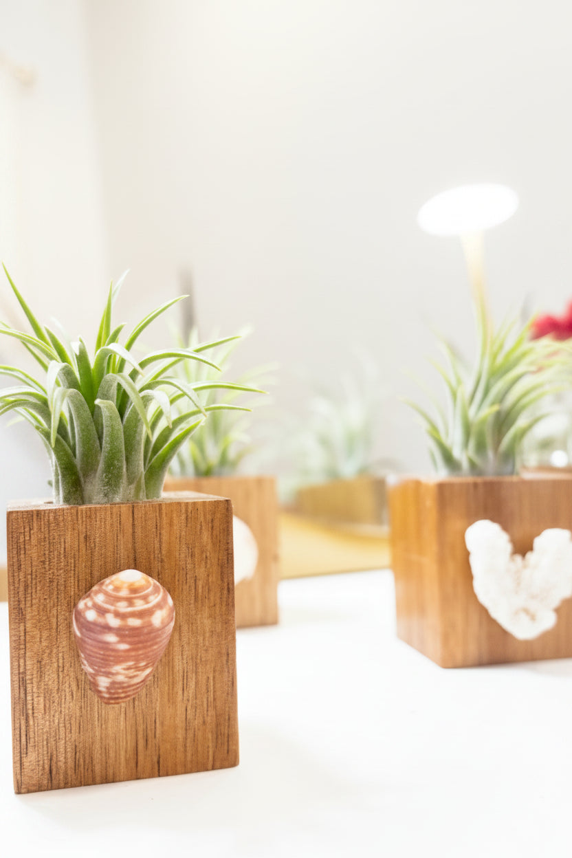 Wood Block Holder