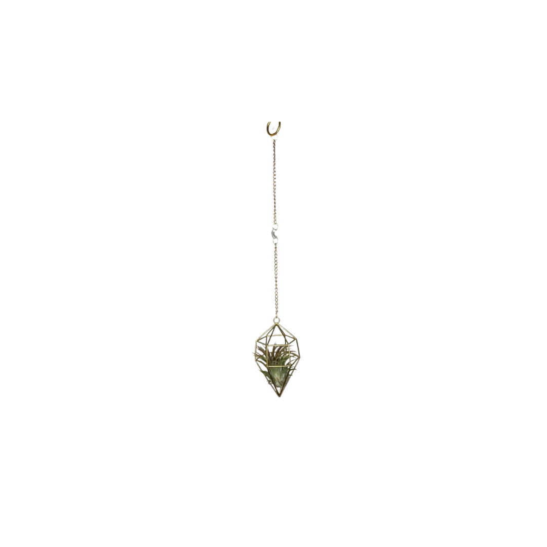 Suncatcher: Shell + Crystal ~ 18"-20"