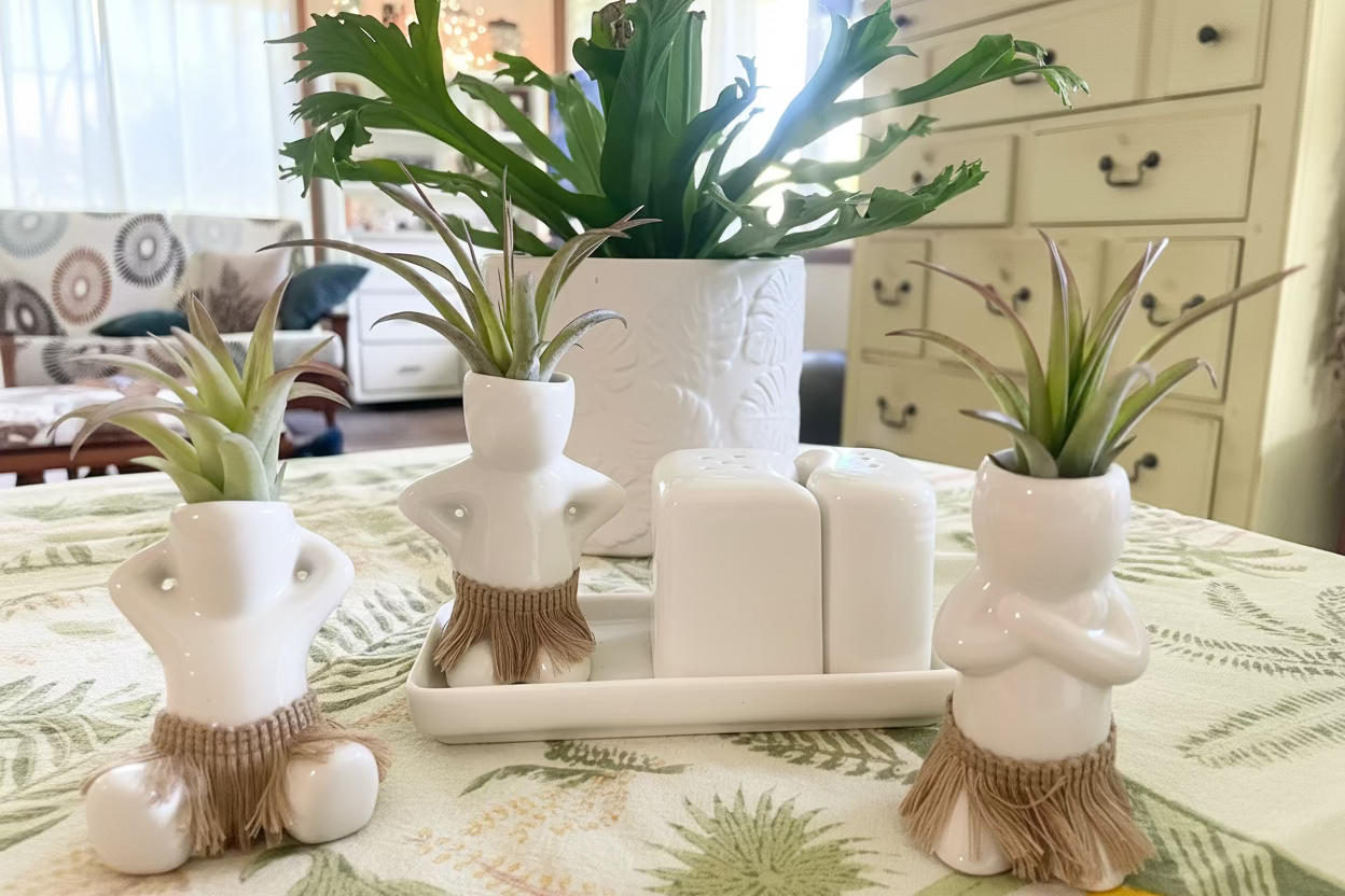 Salt + Pepper Shaker Set - Hula Hips