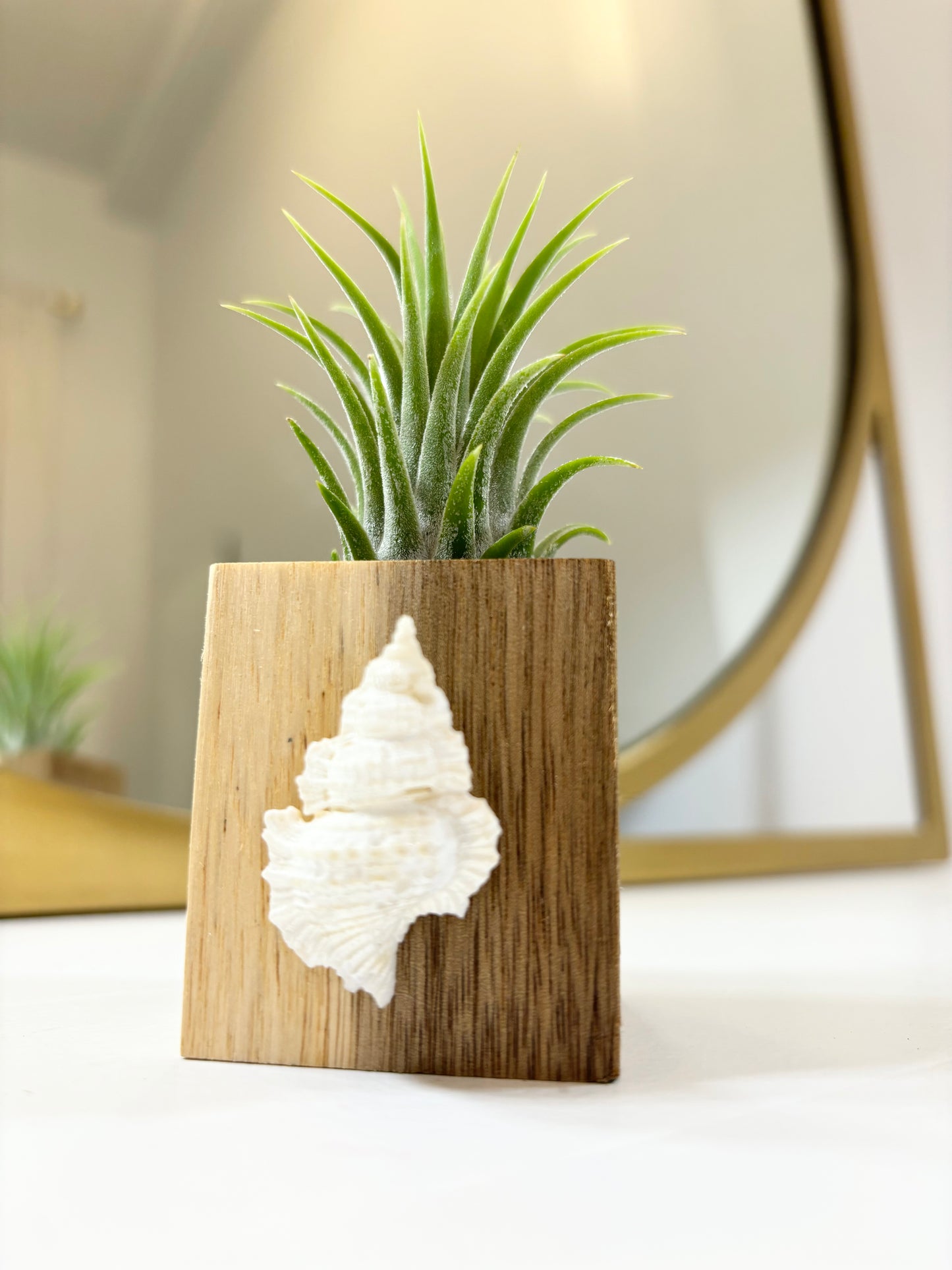 Wood Block Holder