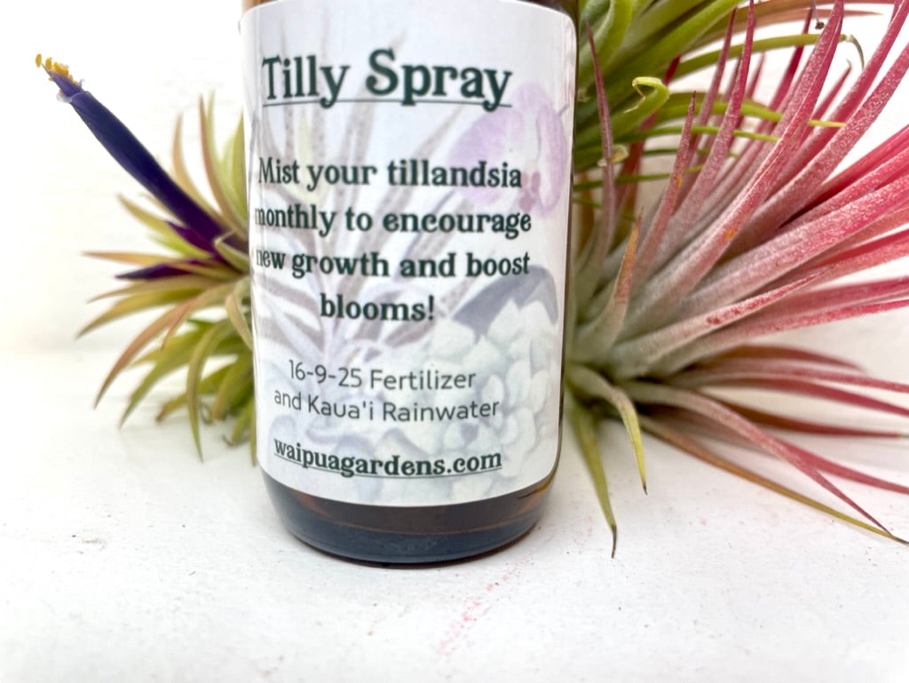 Fertilizer - Tilly Spray