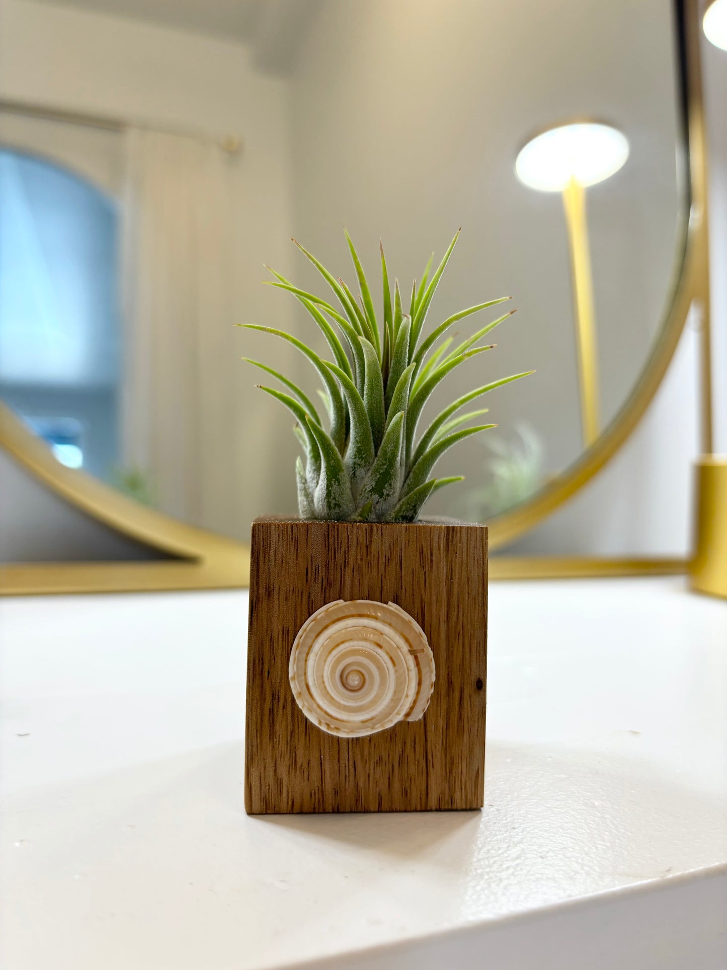 Wood Block Holder