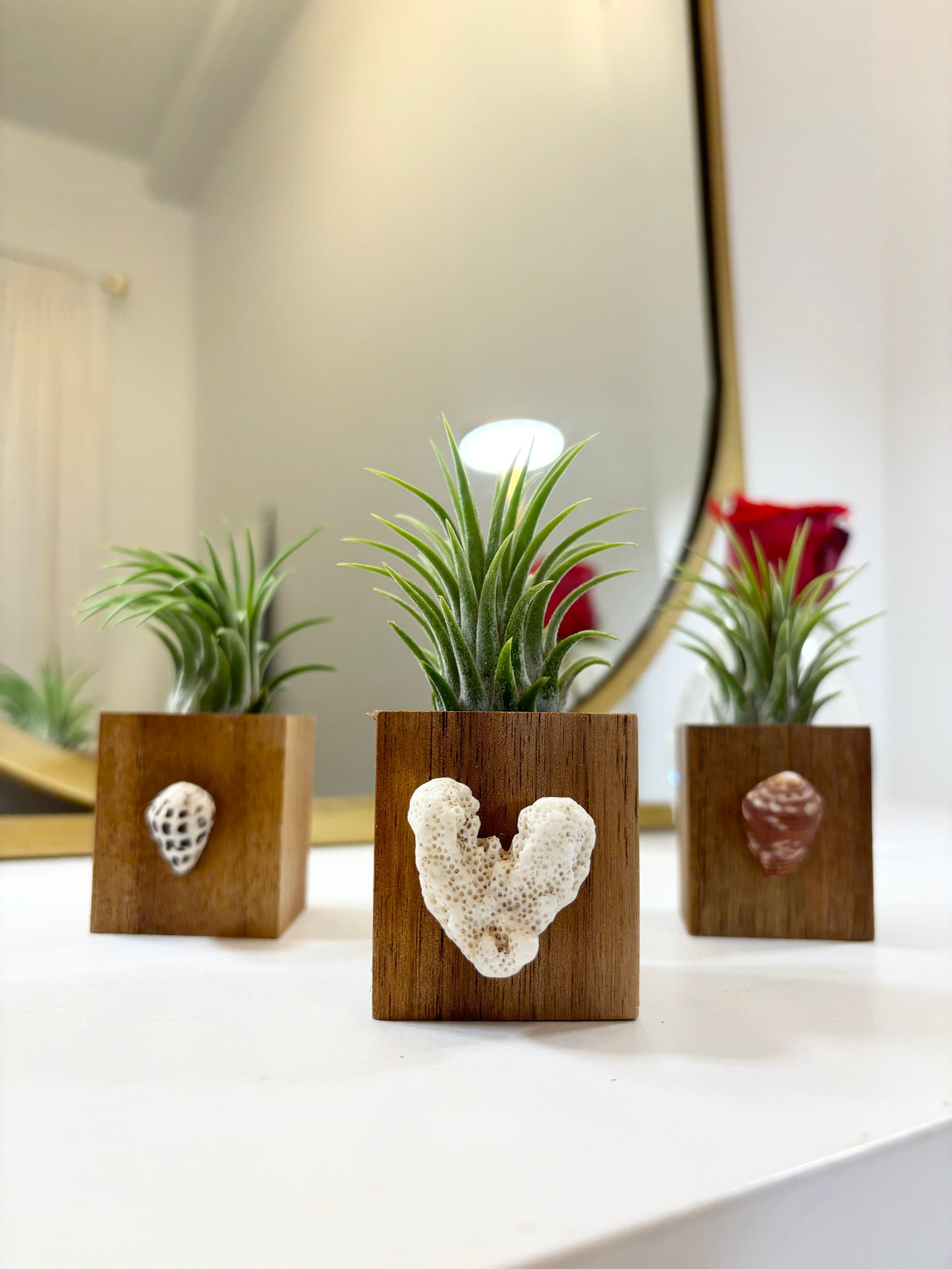 Wood Block Holder