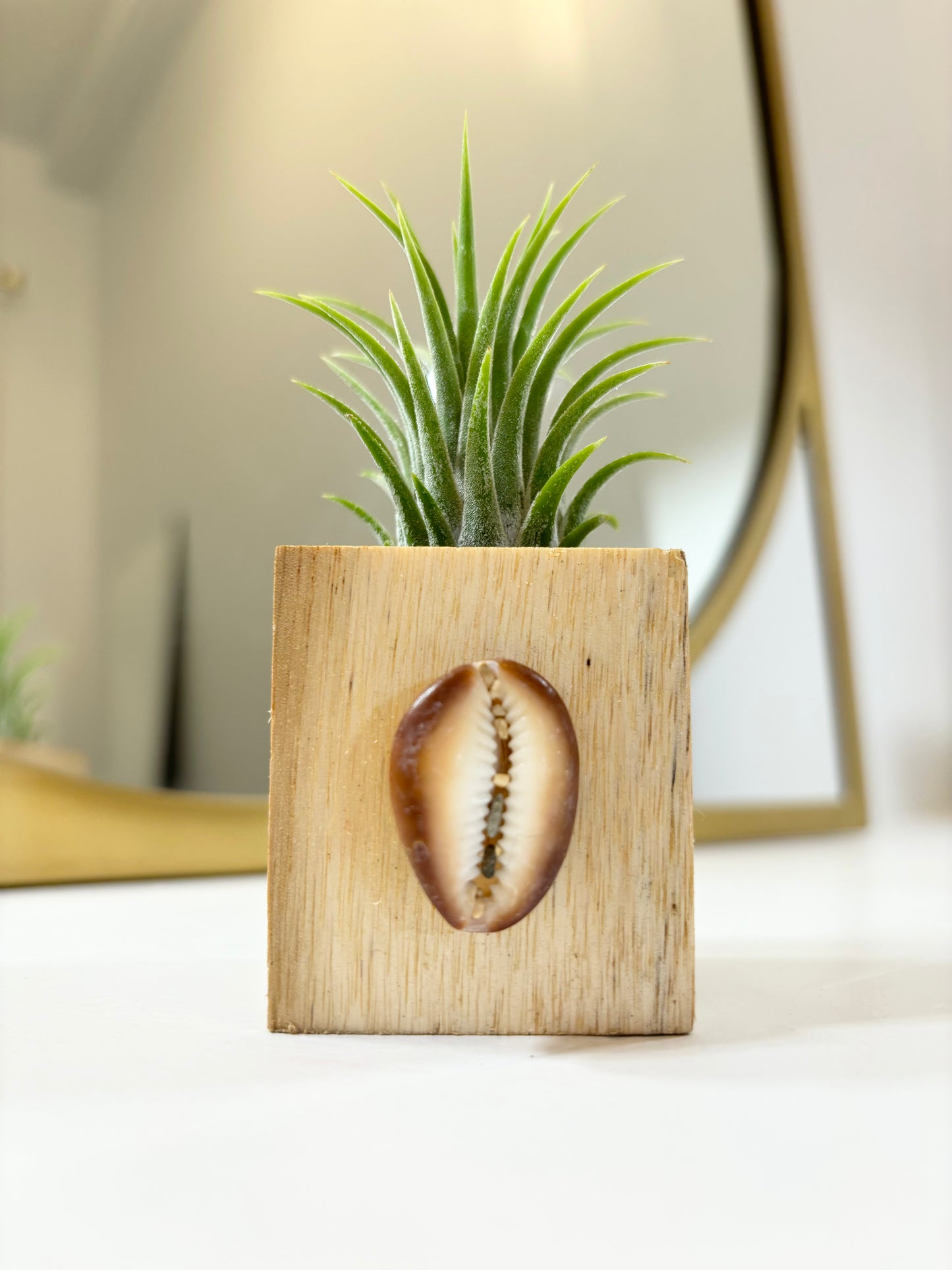 Wood Block Holder