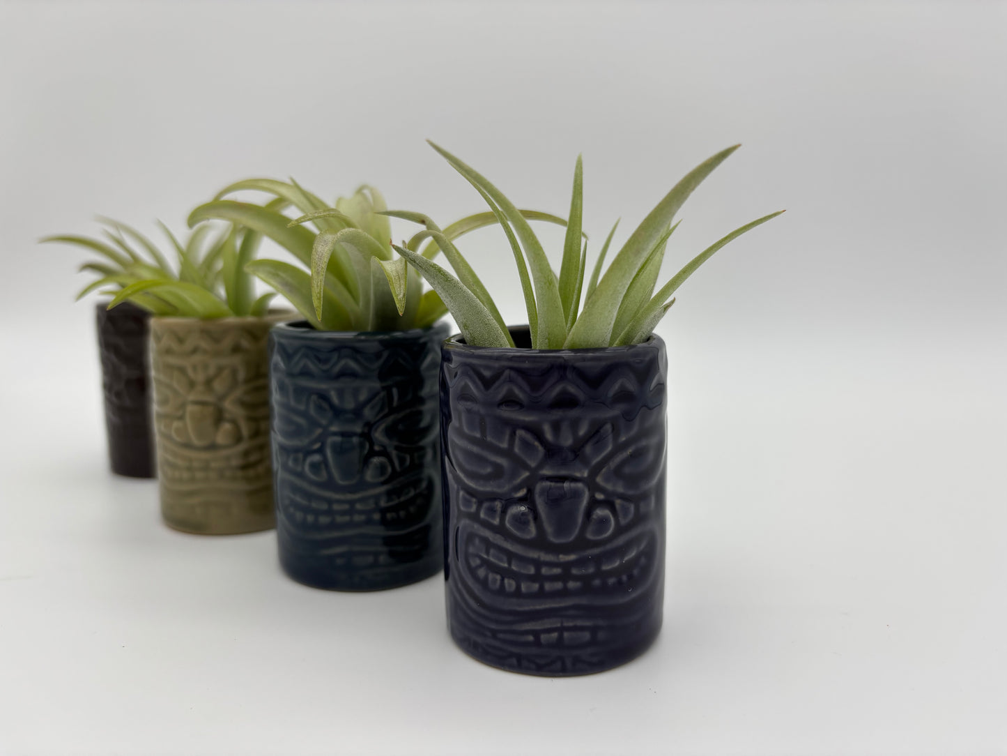 Tiki Tillandsia Holder