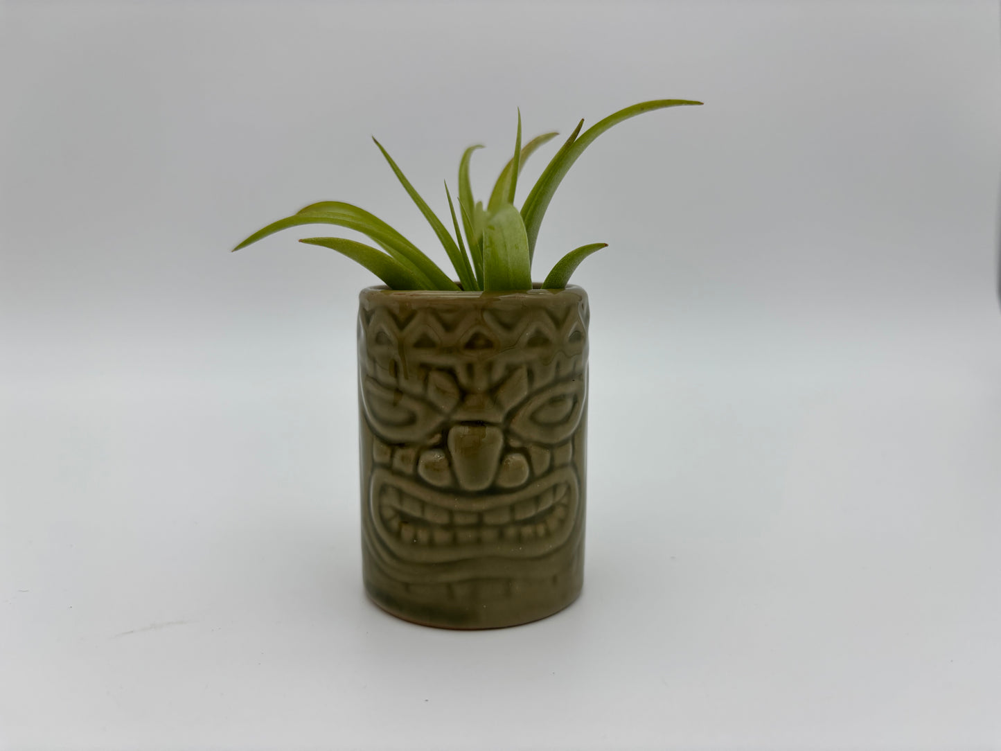 Tiki Tillandsia Holder