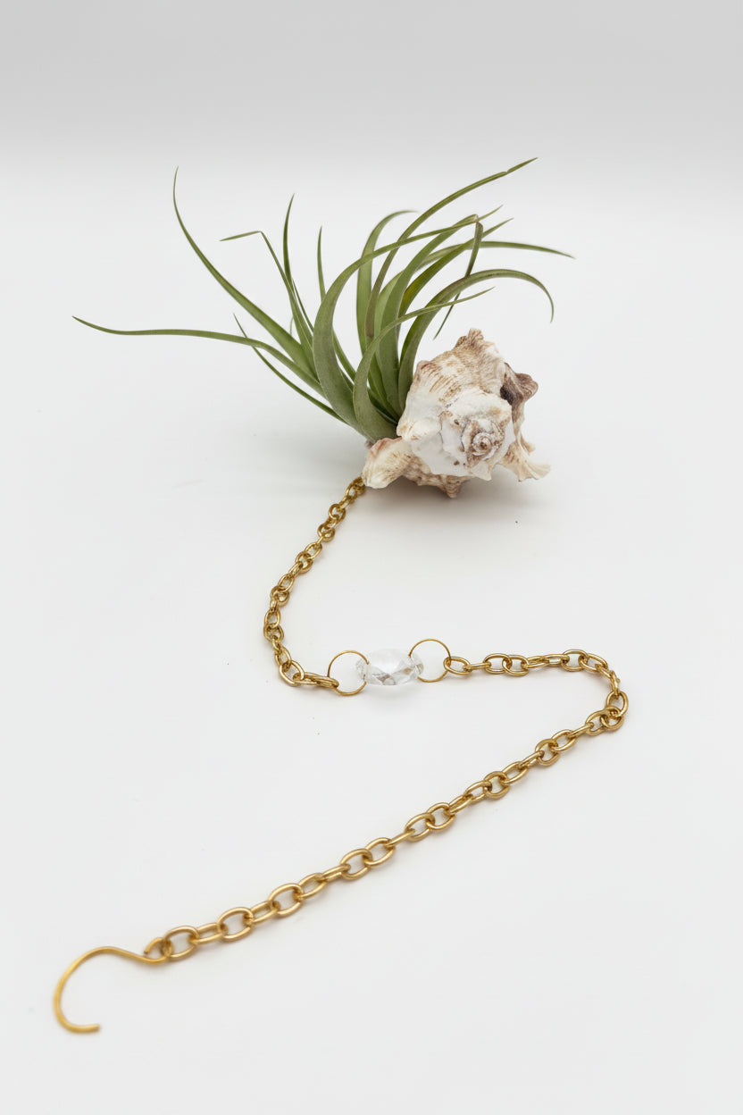 Suncatcher: Shell + Crystal ~ 18"-20"