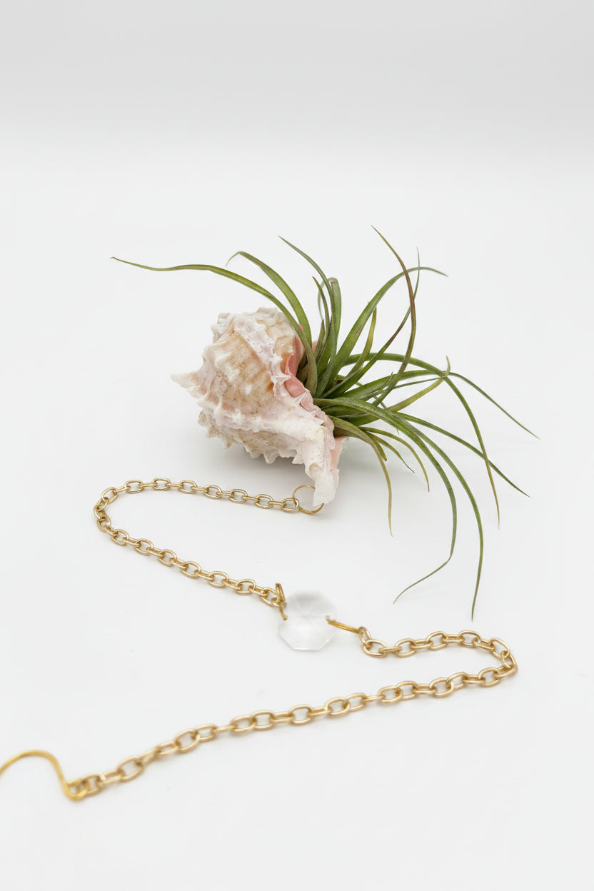 Suncatcher: Shell + Crystal ~ 18"-20"