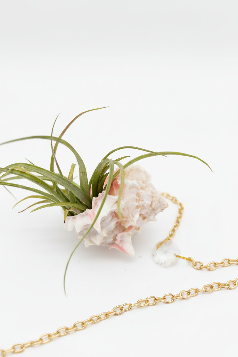 Suncatcher: Shell + Crystal ~ 18"-20"