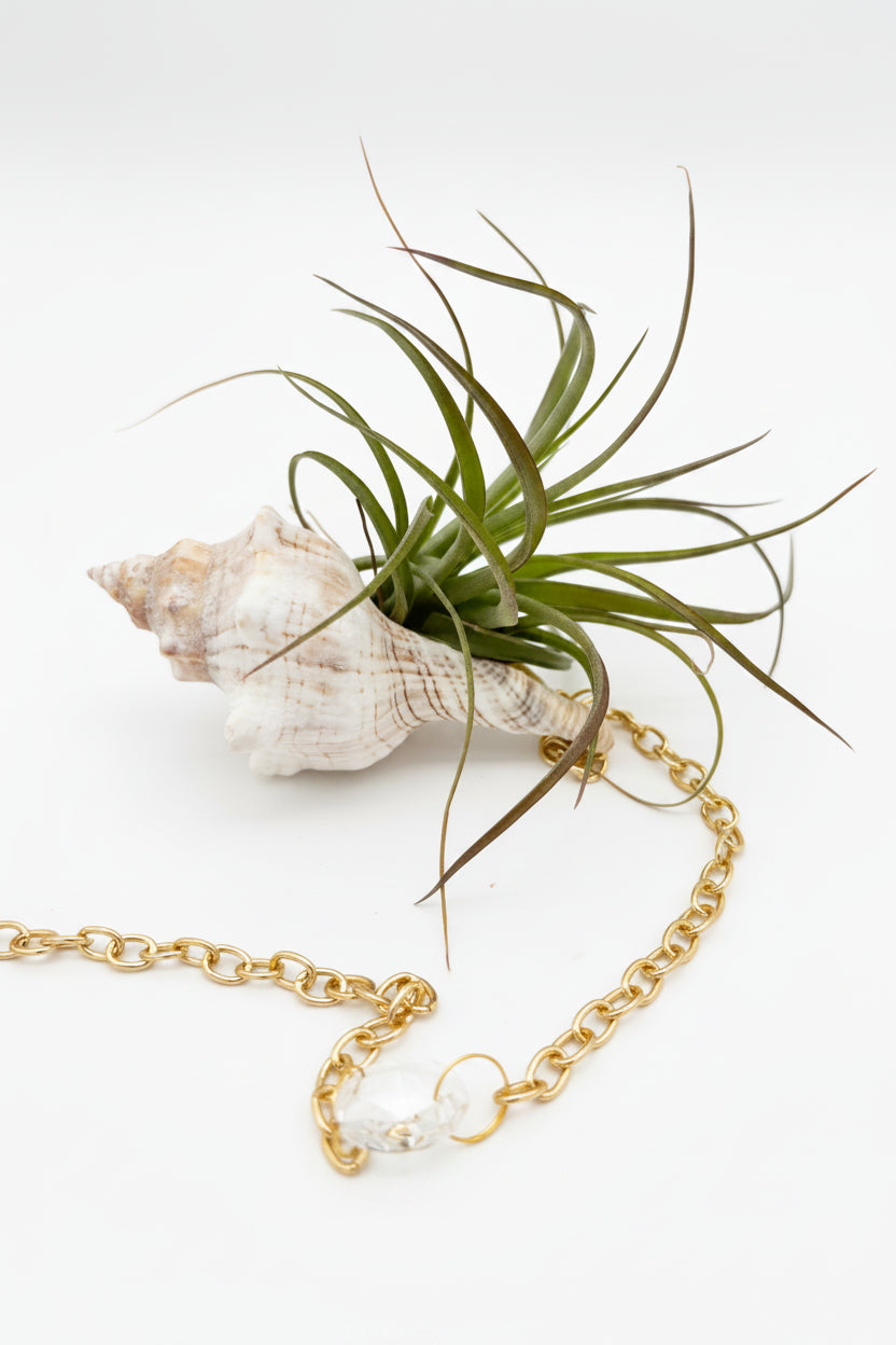 Suncatcher: Shell + Crystal ~ 18"-20"