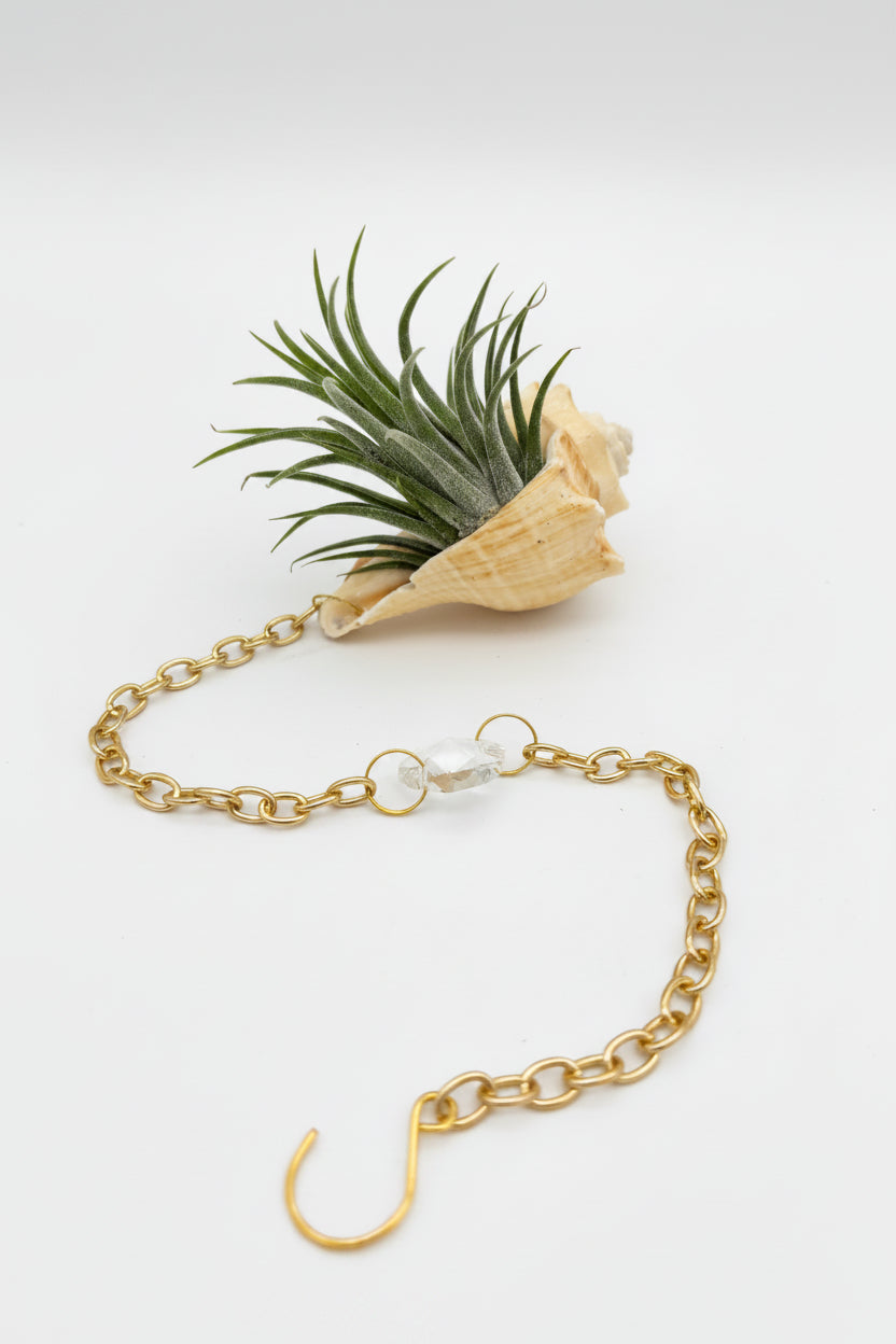 Suncatcher: Shell + Crystal ~ 12"-14"