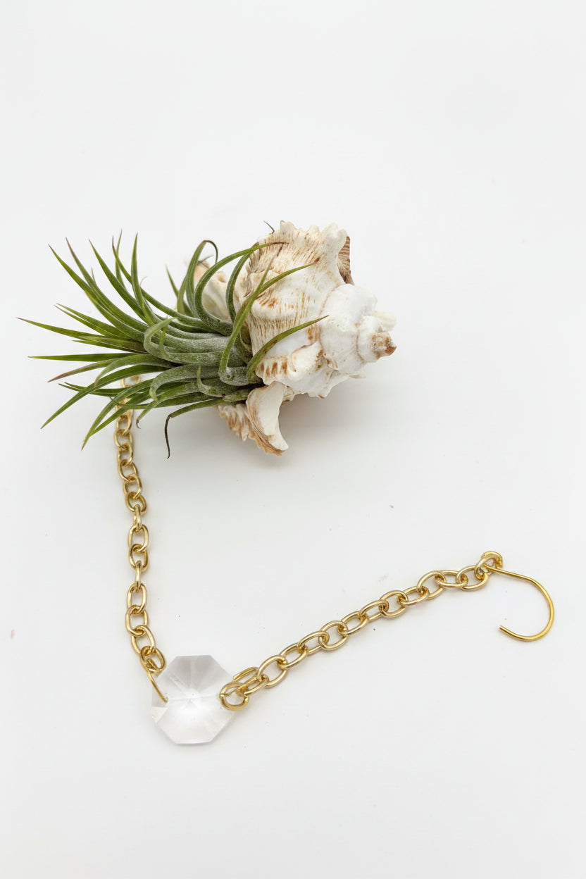 Suncatcher: Shell + Crystal ~ 12"-14"