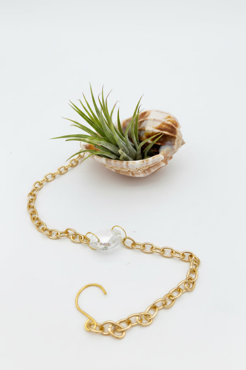 Suncatcher: Shell + Crystal ~ 12"-14"