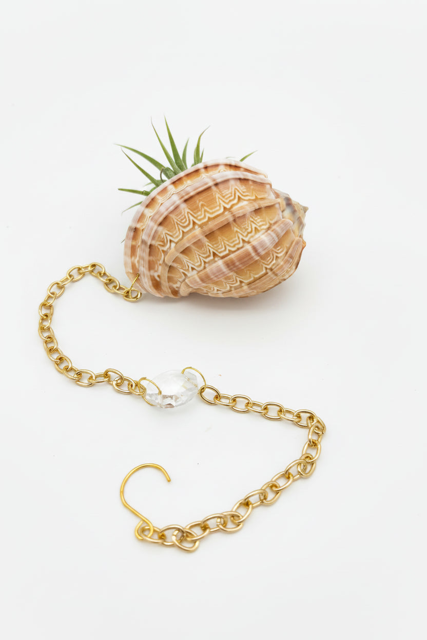 Suncatcher: Shell + Crystal ~ 12"-14"