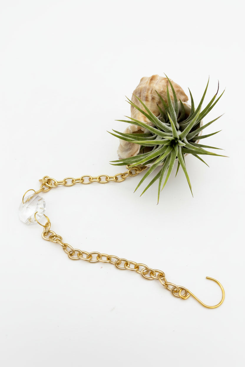 Suncatcher: Shell + Crystal ~ 12"-14"