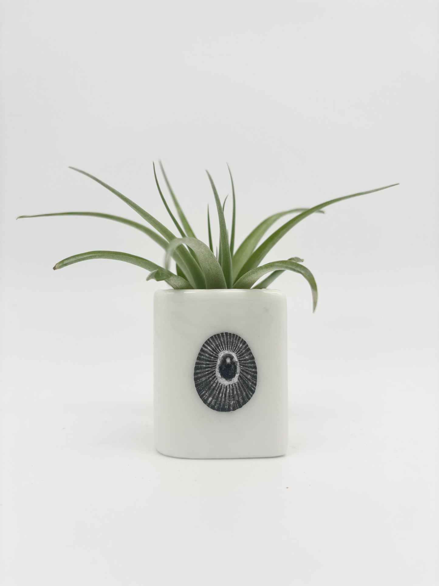 Ceramic + Shell Holder