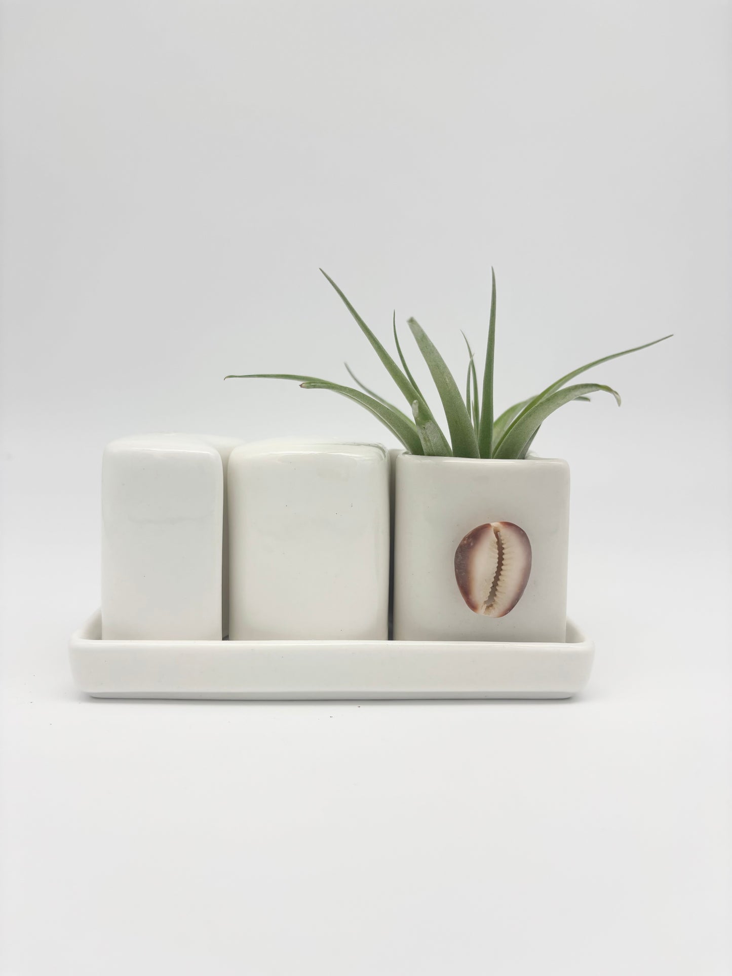 Ceramic + Shell Holder