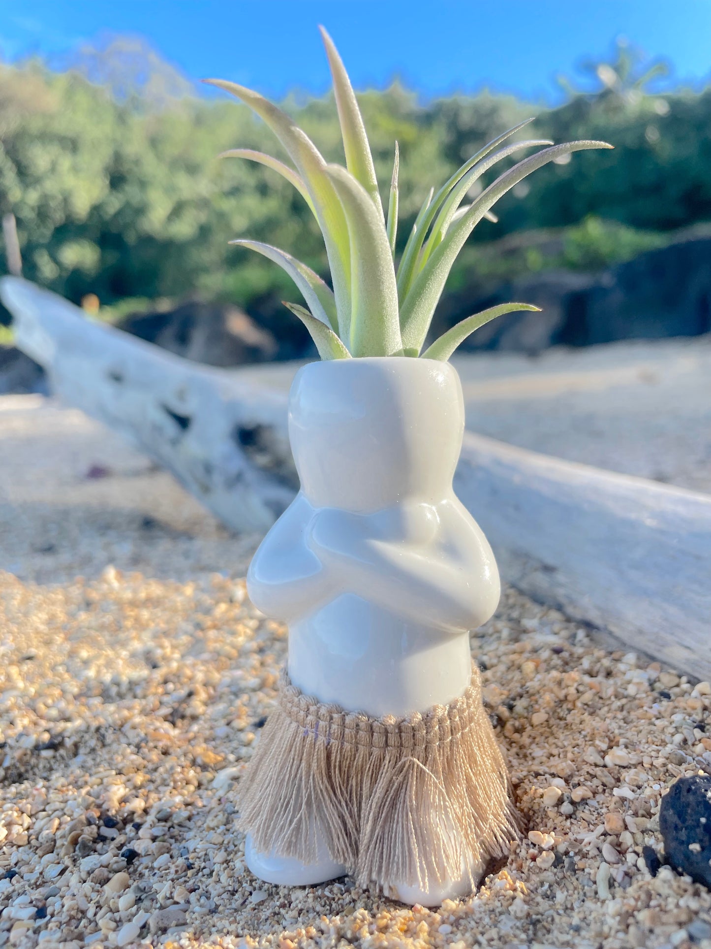 Salt + Pepper Shaker Set - Aloha Nui